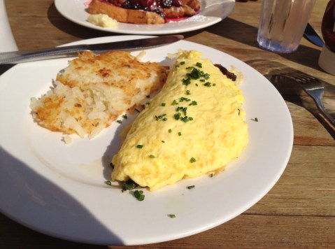 Cheeky Monkey3 9.21.12