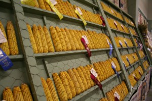 State Fair Corn