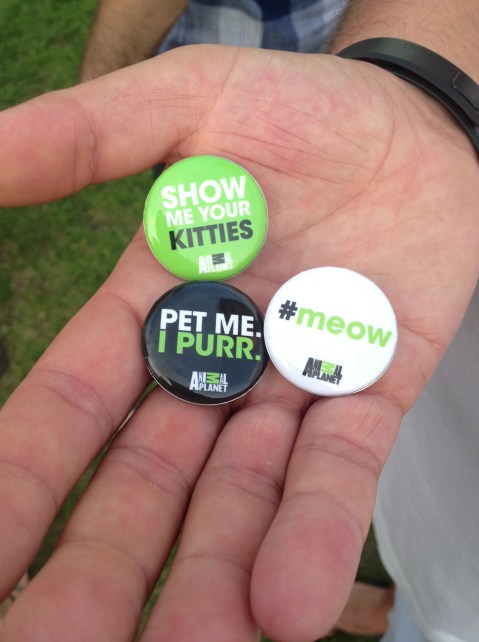 Animal Planet at the Cat Video Fest