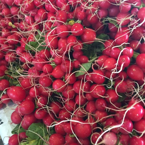 Radishes Minneapolis Farmers Market